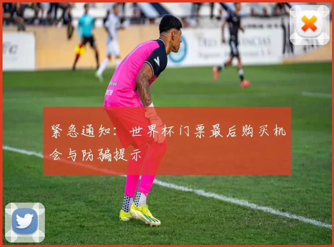 紧急通知:世界杯门票最后购买机会与防骗提示