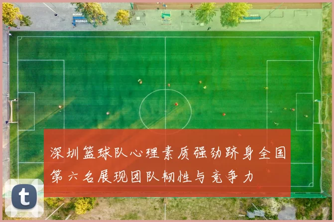 深圳篮球队心理素质强劲跻身全国第六名展现团队韧性与竞争力