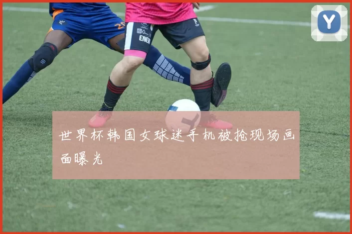 世界杯韩国女球迷手机被抢现场画面曝光