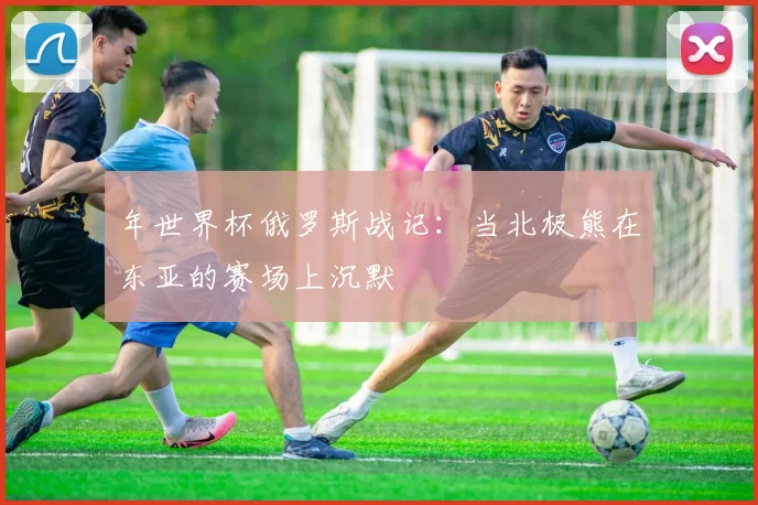年世界杯俄罗斯战记:当北极熊在东亚的赛场上沉默