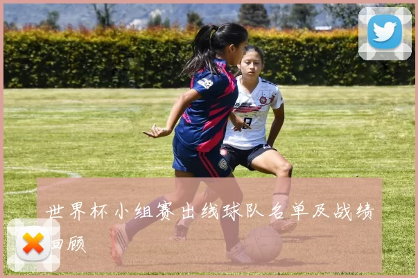 世界杯小组赛出线球队名单及战绩回顾