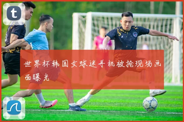 世界杯韩国女球迷手机被抢现场画面曝光