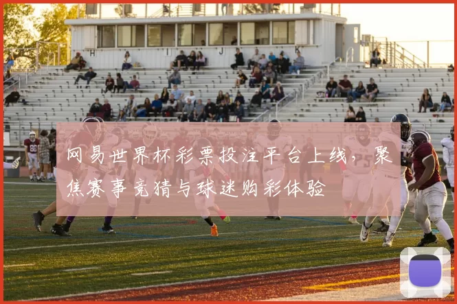 网易世界杯彩票投注平台上线,聚焦赛事竞猜与球迷购彩体验