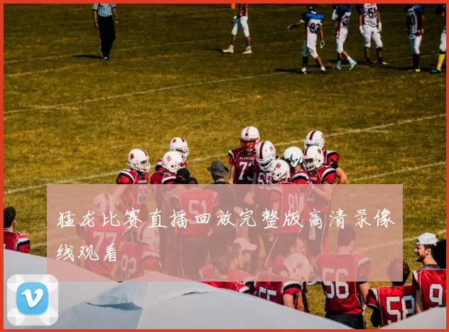 猛龙比赛直播回放完整版高清录像线观看