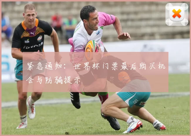 紧急通知：世界杯门票最后购买机会与防骗提示