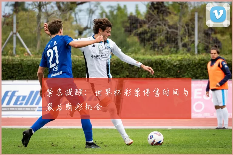 紧急提醒:世界杯彩票停售时间与最后购彩机会